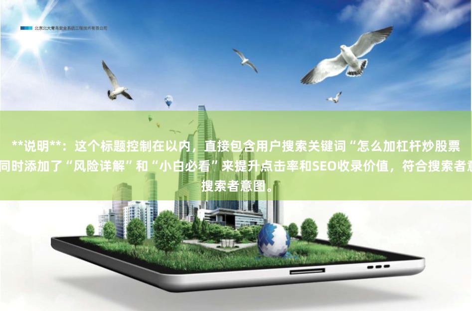 **说明**：这个标题控制在以内，直接包含用户搜索关键词“怎么加杠杆炒股票”，同时添加了“风险详解”和“小白必看”来提升点击率和SEO收录价值，符合搜索者意图。
