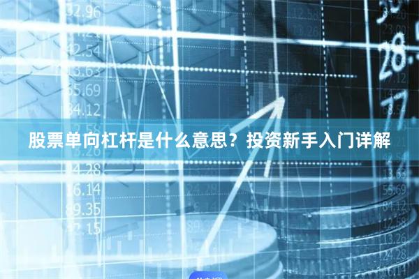 股票单向杠杆是什么意思？投资新手入门详解